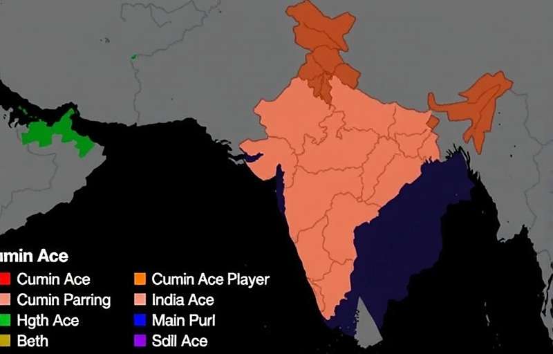 Cumin Ace Player Map Map of India showing Cumin Ace player distribution